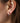 Silver Hoops