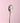 Bold Spoons ⭐️NEW⭐️